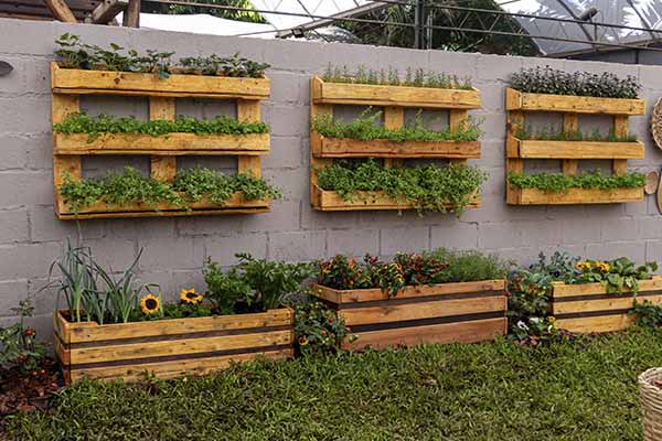 Caixaria e horta vertical em pallets