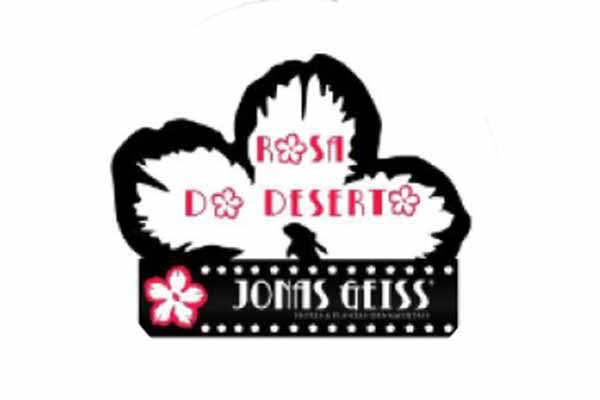 JONAS GEISS • ROSA DO DESERTO