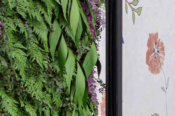 Plantas Preservadas
