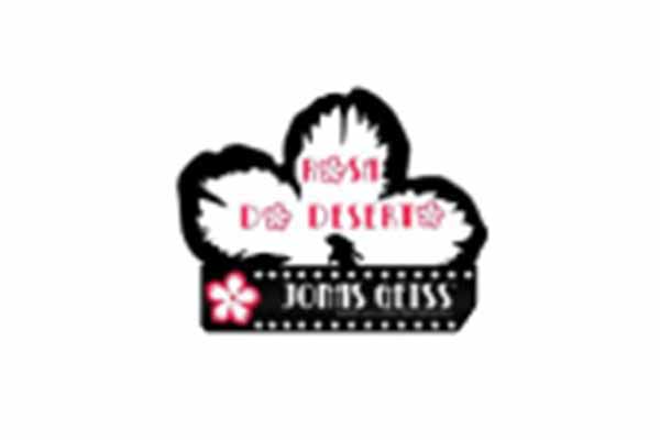 JONAS GEISS • ROSA DO DESERTO
