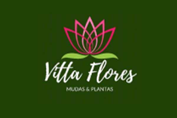 Vitta Flores - mudas e plantas
