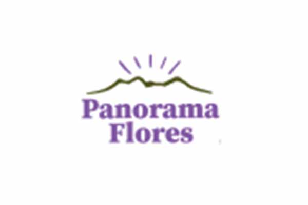 PANORAMA FLORES