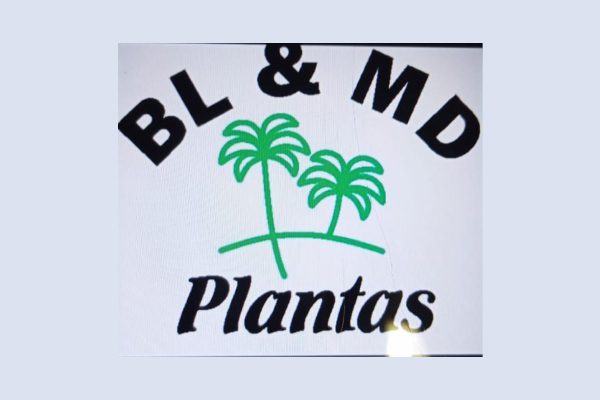 BL & MD PLANTAS