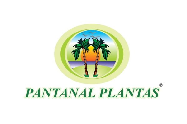 Pantanal Plantas